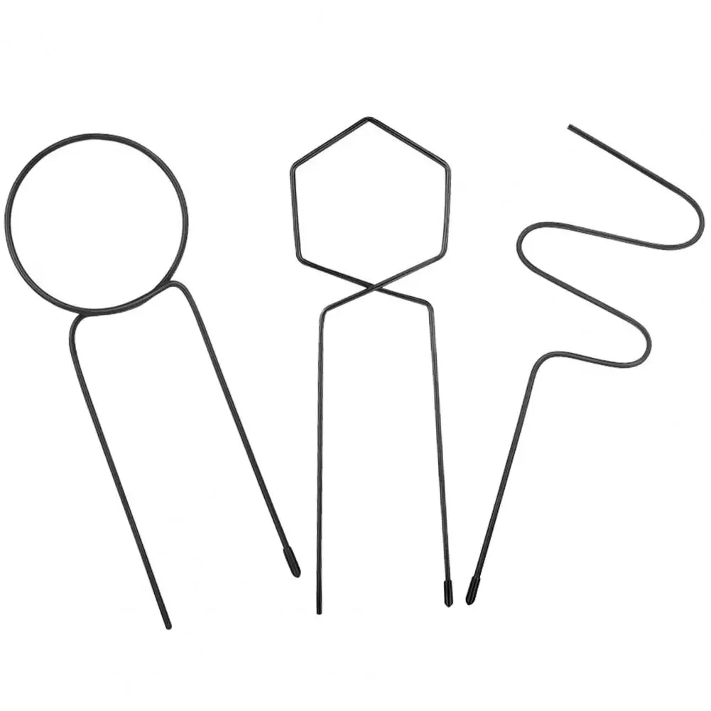 

Decorative Wrought Iron Geometric Figure Rustproof Climbing Stand Stake for Garden
