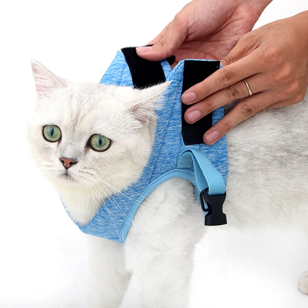 Жгут проводов для кошек регулируемый жилет с защитой от ударов светильник Кая