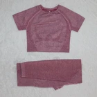 Женский летний бесшовный комплект для йоги, спортивные костюмы для фитнеса, одежда для тренажерного зала, футболка для йоги с высокой талией + леггинсы, штаны для тренировок, 2 шт.