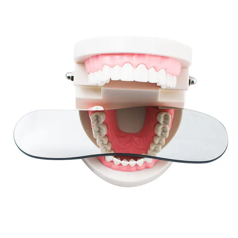 2 стороны Стоматологическая Интраоральная ортодонтического фотографические