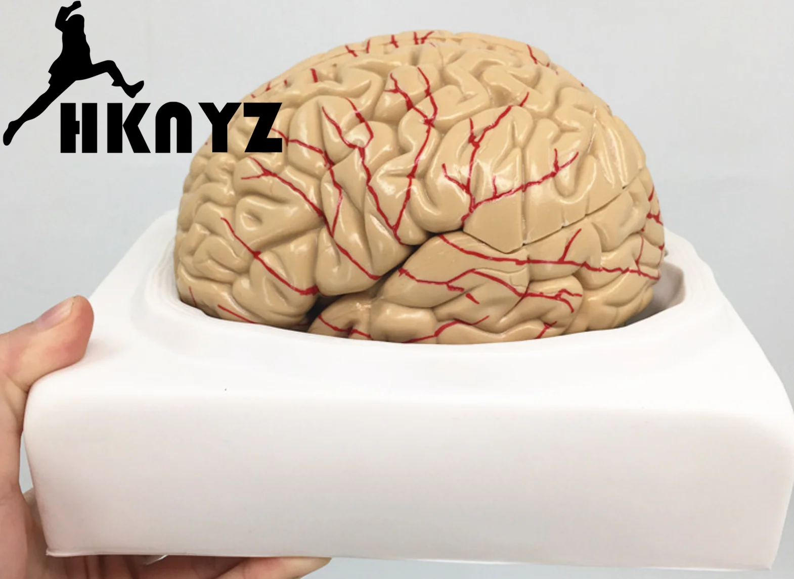 

Educational Equipment & Supplies