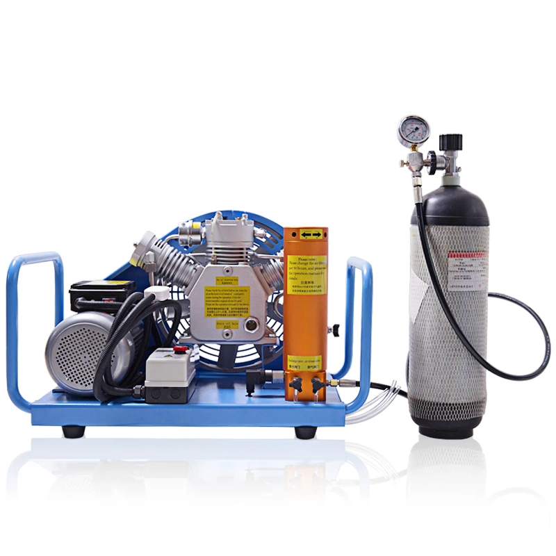 

Diver Gas Bottle Air Pump Air Respirator/Resuscitator Air Pump High Pressure Breathing Air Compressor Inflation Pump Inflation
