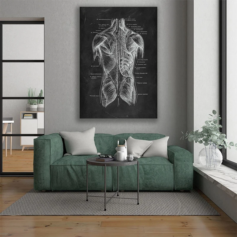 

Human Anatomy Artwork Medical Clinic Wall Picture Skeleton Organ Muscle System Vintage Canvas Print Body Education Poster