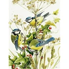 Вышивка крестиком в виде птиц, 11 карат, Набор для вышивки сделай сам, DMC нитки, рукоделие, ручная работа, шитье, рекламный дизайн