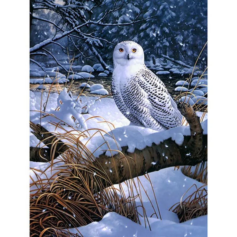 

Full Square/Round Drill 5D DIY Diamond Painting "Snow Owl" 3D Rhinestone Embroidery Cross Stitch 5D Home Decor Gift
