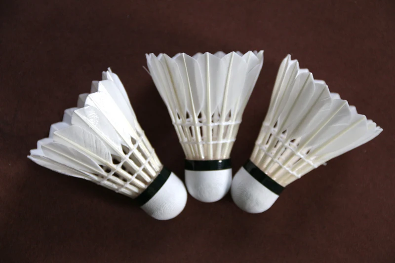 

Eroswing Professional School Competition Training Ball Round Duck Feather Ball Shuttlecock Badminton Stable 12pcs/dozen Durable