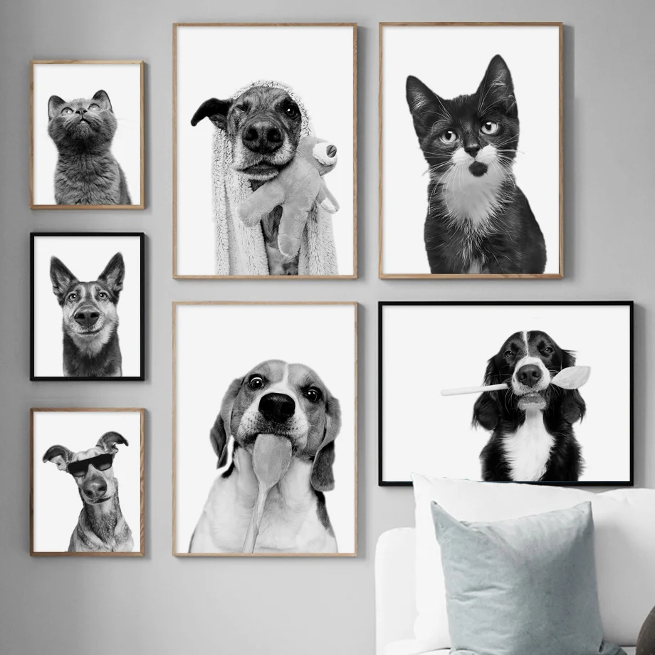

Black White Border Collie Dog Cat Photo Custom Art Canvas Painting Nordic Posters And Prints Wall Picturs For Living Room Decor