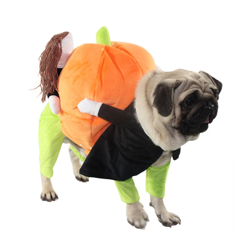 Disfraz divertido de calabaza para perro, ropa de Halloween para mascotas, para eventos especiales, disfraces bonitos para perros-1