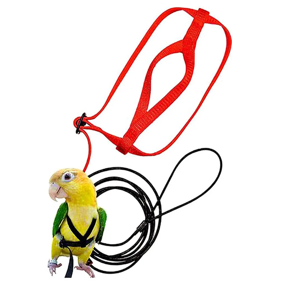 

Регулируемые попугаи шлейка для птицы поводок анти-кусание тренировочная веревка для летания на открытом воздухе