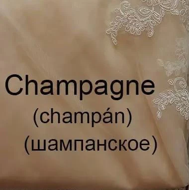Бохо Кружева Аппликации Свадебные платья Флора Цветок прозрачная спина Шампанское Тюль пляжное свадебное платье свадебные платья принцесса - Цвет: Шампанское