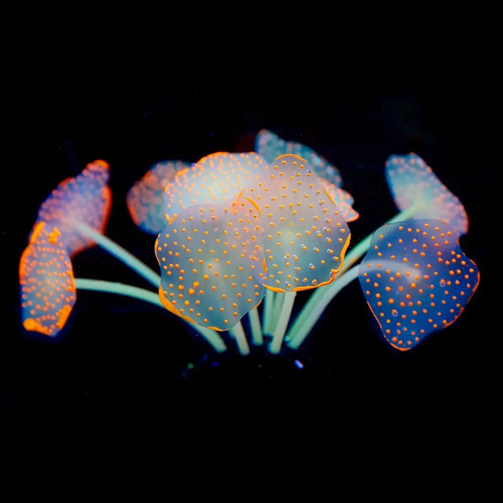 11 daun tangki ikan hiasan bawah karang buatan silikon bersinar, - Produk haiwan peliharaan - Foto 2