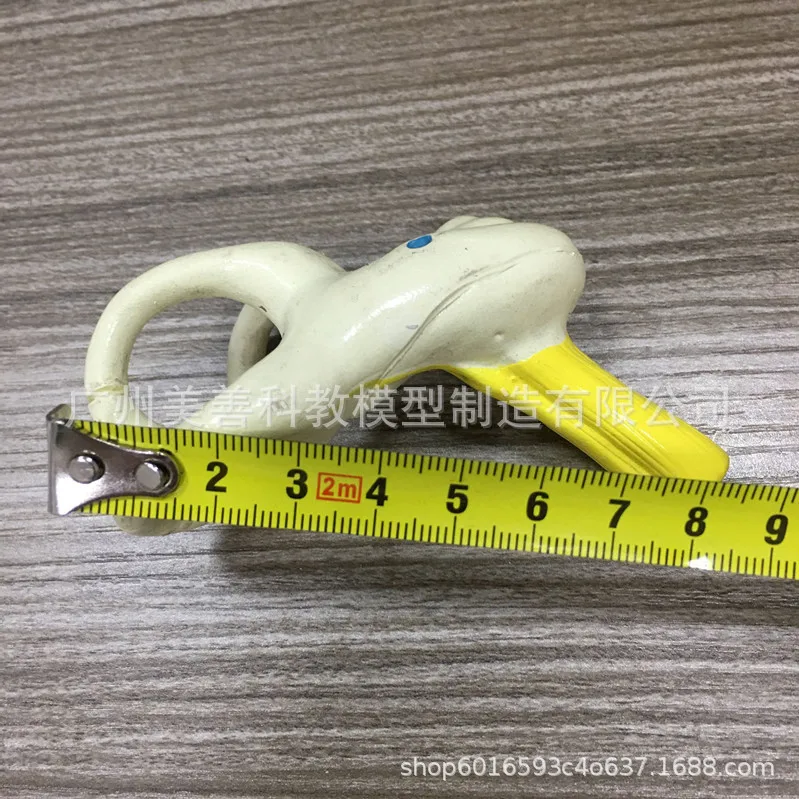 Медицинская модель для ушей Анатомия человека семикулярный канал кохлеарного