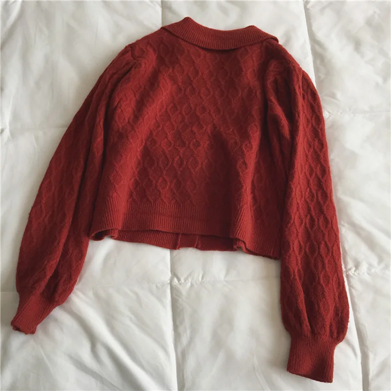 

Autumn and winter women's casual solid color lapel long-sleeved short sweater