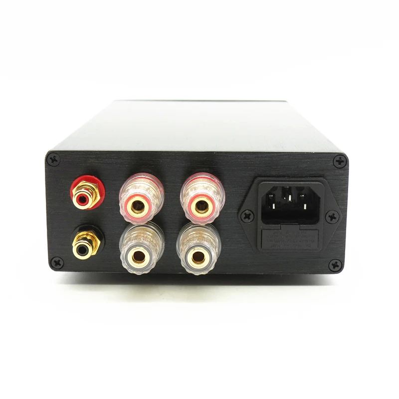 Фото HIFI Stereo ICEPOWER ICE125ASX2 SE Однотактный цифровой усилитель мощности №3