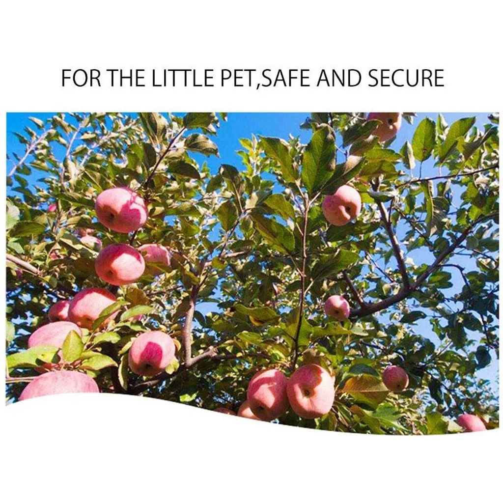 Bunny Toys Chew Teeth Organic Apple Wood Molar Sticks Rabbits Improves Dental | Дом и сад