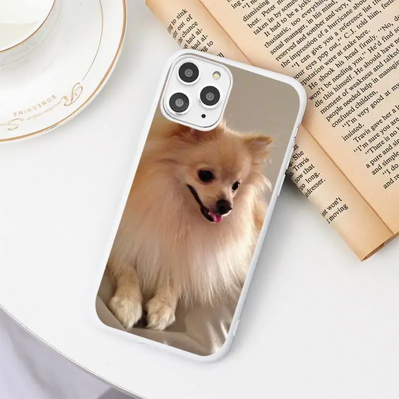 

Pomeranian dog Colorful Cute Phone Case Candy Color White for iPhone 11 pro XS MAX 8 7 6 6S Plus X 5S SE 2020 XR