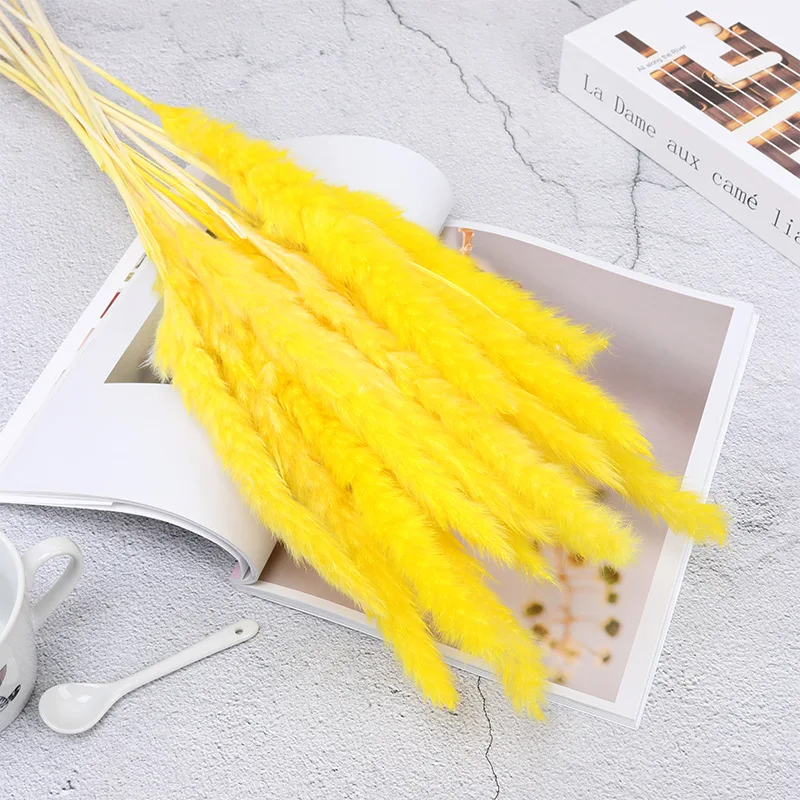 

45cm 10pcs Small Pampas Grass Accessori Casa Natural Air Dried Eternal Preserved Reed Flowers Home Living Room Decoration