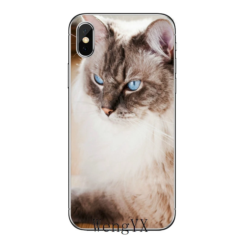 Pet ragdoll кошка синие глаза для huawei mate 20 10 9 P30 P20 P10 P9 pro Lite P Smart plus аксессуары чехол для телефона - Цвет: cat-blue-eyes-B-04