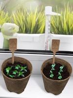 garden starter kit handmade durable diy grow set for growing herbs indoors creative pulp planter diy kitchen growing kit
