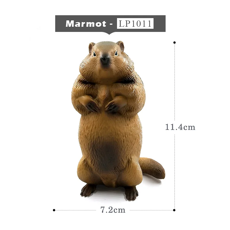 Marmot - b Имитация леса, животные, модель, дикий олень, бегемот, Лев, тигр, панда, носорог, белый медведь, северный олень, жираф, верблюд, лося, буйвол, игрушки - Цвет: Marmot - b