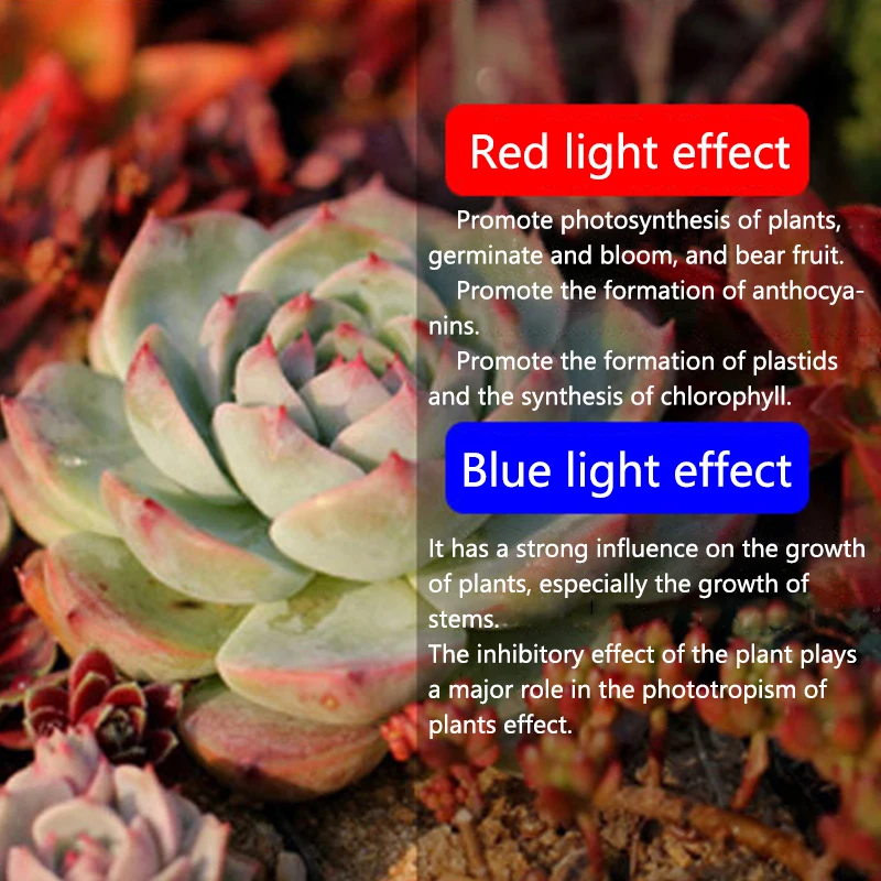 

LED Growing Lamps Adjustable Red Blue Mixed Fill Light Lamp With Automatic On/off 3/9/12H Timer For Indoor Plant Growth