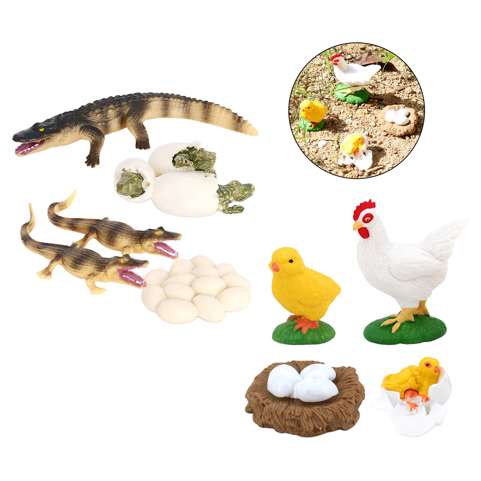 Juego de crecimiento de insectos para el ciclo de la vida, figuras de educaci&oacute;n, juego de rol, fiesta tem&aacute;tica, 2 unidades-4