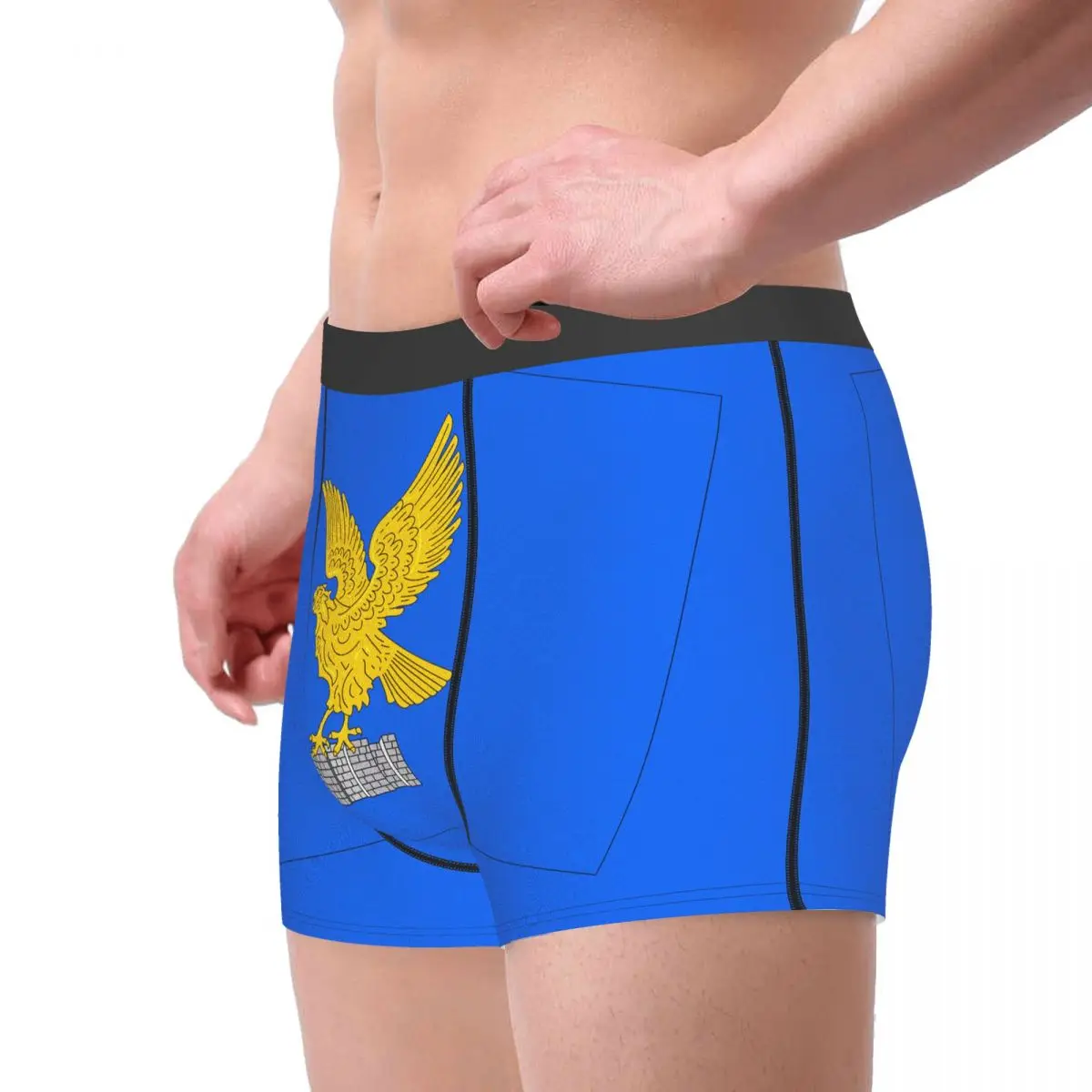 Flag Of Friuli-Venezia Giulia Men's Boxer Briefs regions of Italy Nerdy elastic pants for men