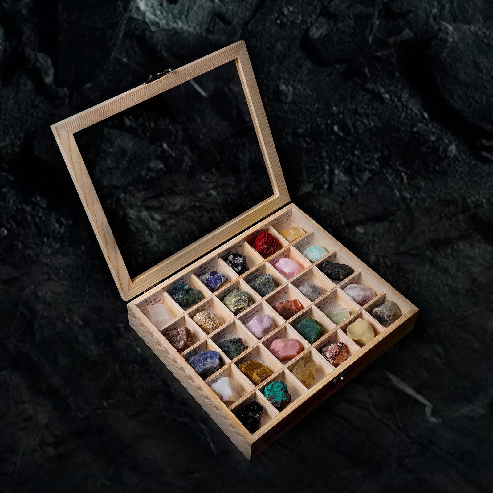 

30pcs Rock and Mineral w/ Display Case Science Geography Education for Kids