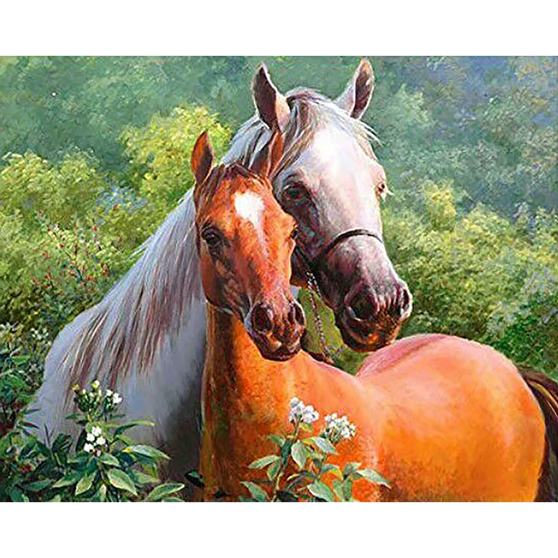 

DIY Paints By Numbers horse Animals 50x40cm Art Pictures Set Coloring Decorative Canvas Wall Artcraft Oil Painting By Numbers