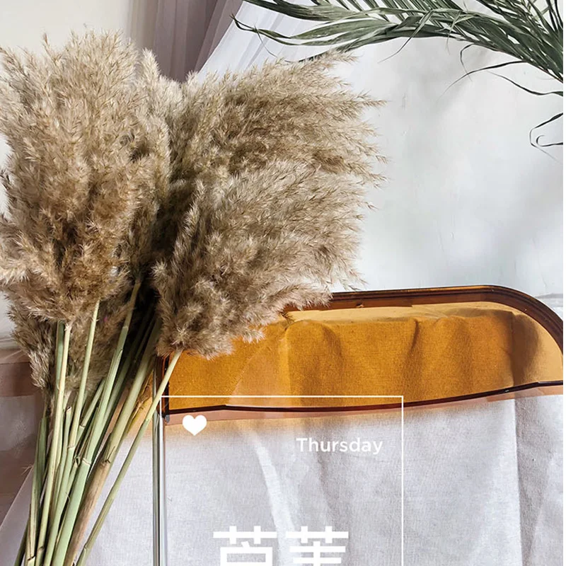 

25pcs Wedding Use Pampas Flowers Bunch 100% Natural Plants Christmas Decor Dried Flower Bouquet for Home Decoration