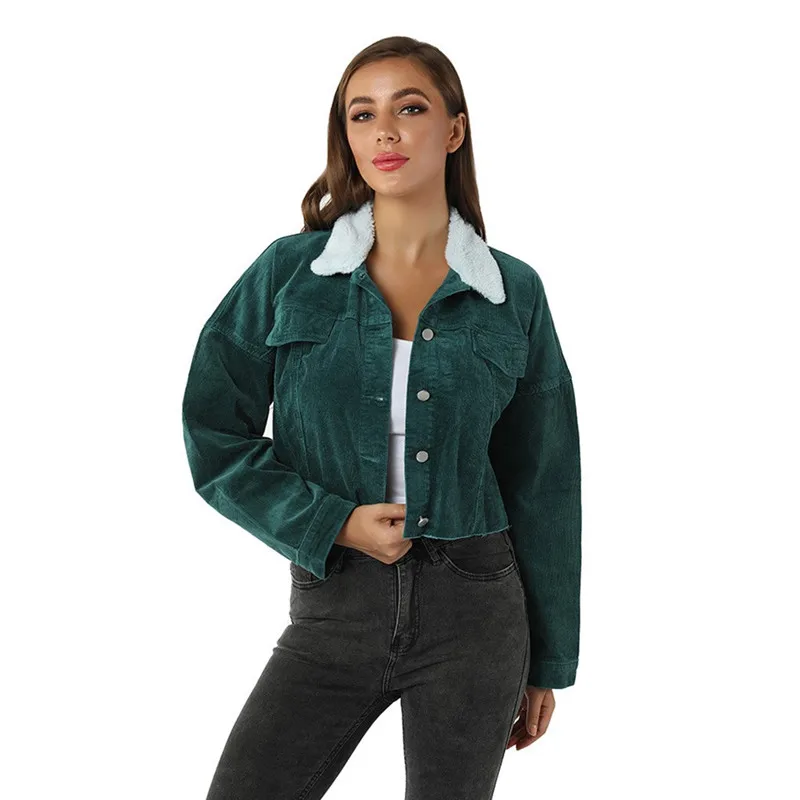 Женская куртка уличная одежда новинка 2019 с длинным рукавом и отложным воротником