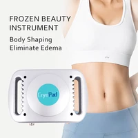 body slimming weight loss liipo anti free cellulite dissolve fat cold therapy dropshipping face massager fat freezing machine