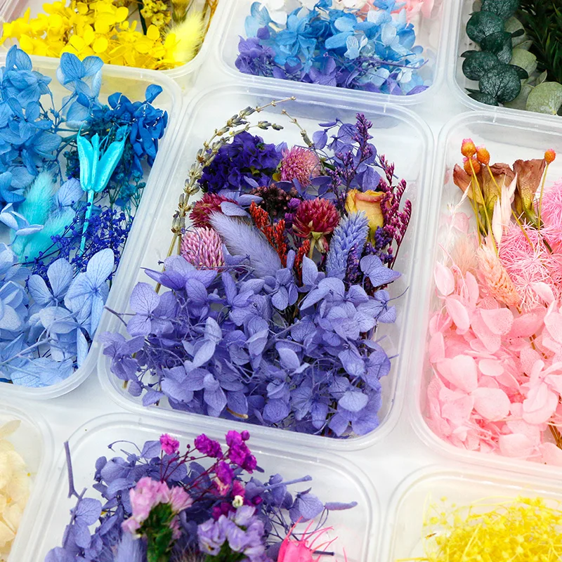 

1 Box Real Natural Dried Flower Dry Plants Leaves Aromatherapy Candle Epoxy Resin Jewelry Soap Making DIY Art Craft Accessories