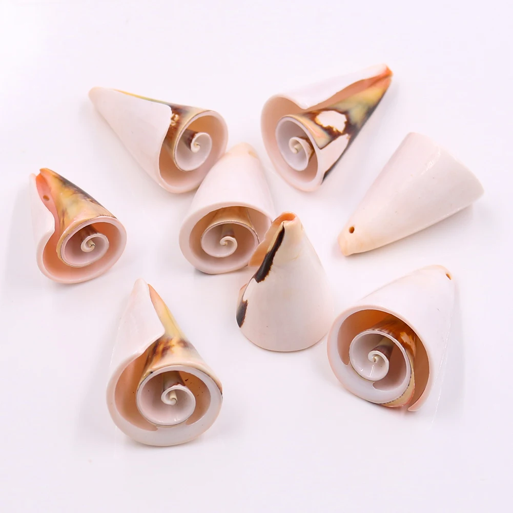 

5PCS Mediterranean Nautical Decor Color Trumpet Conch Seashells Beach Wedding Decorations Jewelry DIY Shell Beach Home Decor