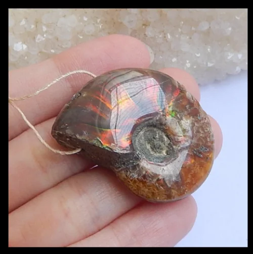 

Hot Sale!! Ammonite Gemstone Pendant , Fine Jewelry, 36x28x12mm,16g H5550