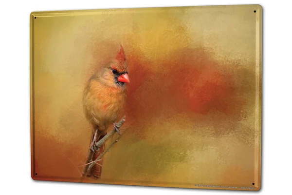 

Жестяной знак Ravtive Vet учебный Кардинал птица кофе бар украшение