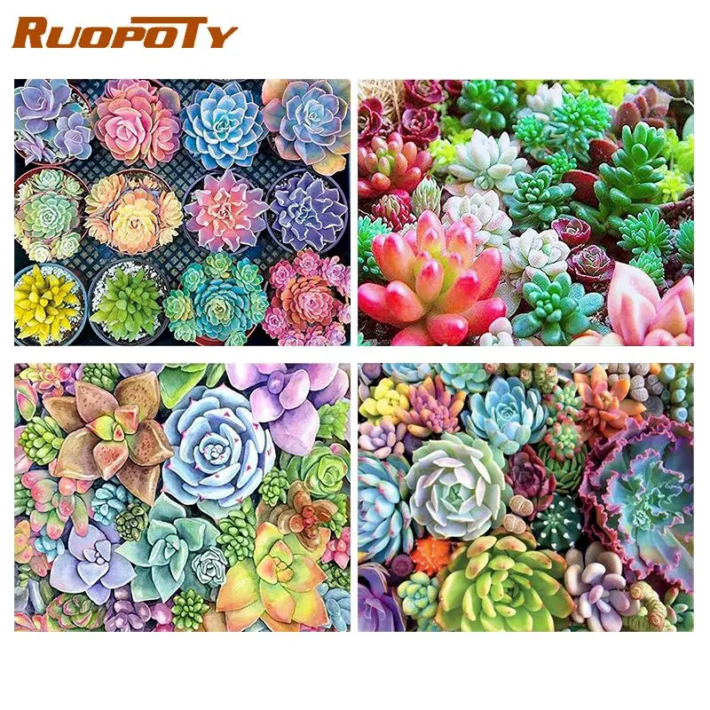 

RUOPOTY DIY succulent plants Paint By Numbers Kit Oil Paints 40*50 Painting Picture By Numbers Photo Home Decor Drawing