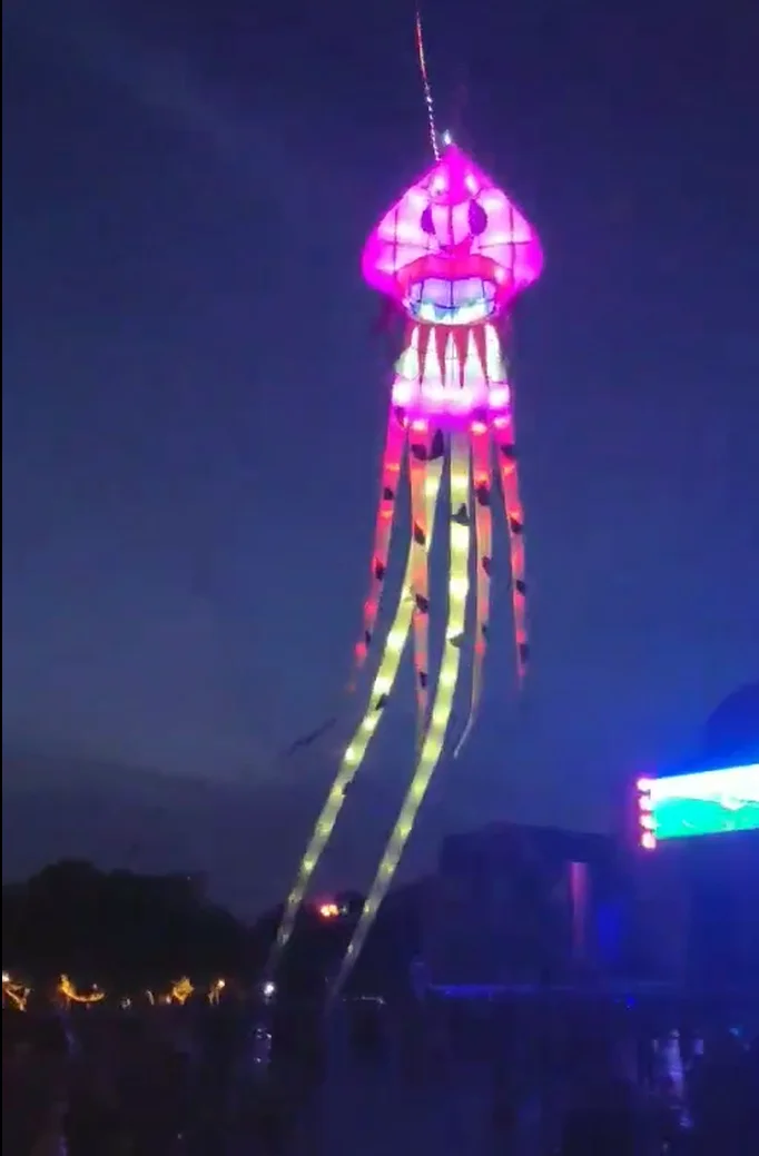 Ripstop новые ветряные носки медузы мягкий воздушный змей светящийся светильник