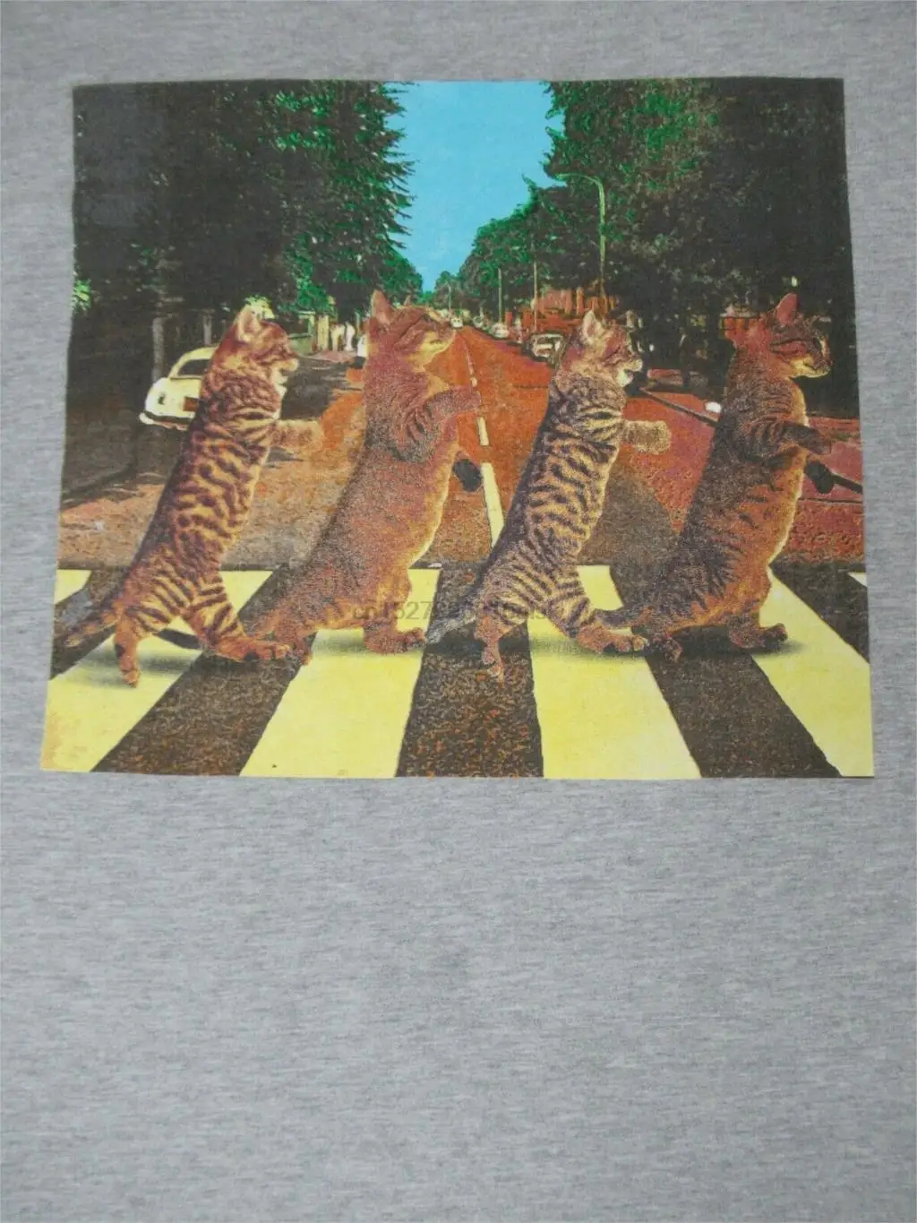 Кошки Ходят как ABBEY ROAD пародия средний серый T SHIRT B1161| |