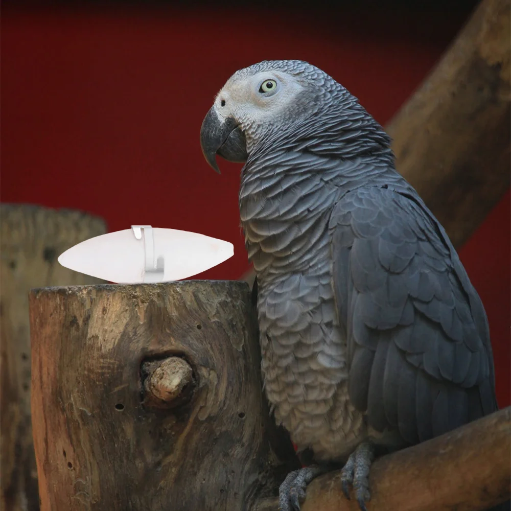 

12pcs Pet Grinding Cuttlefish Bone Teeth Grinding Chew with 12 Hooks Buckle