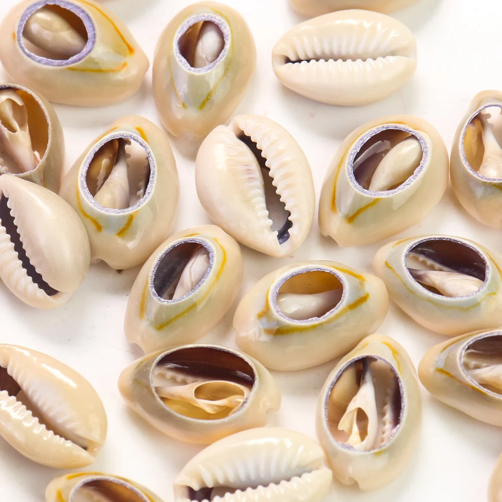 5 шт. подвеска в виде ракушек | Украшения и аксессуары