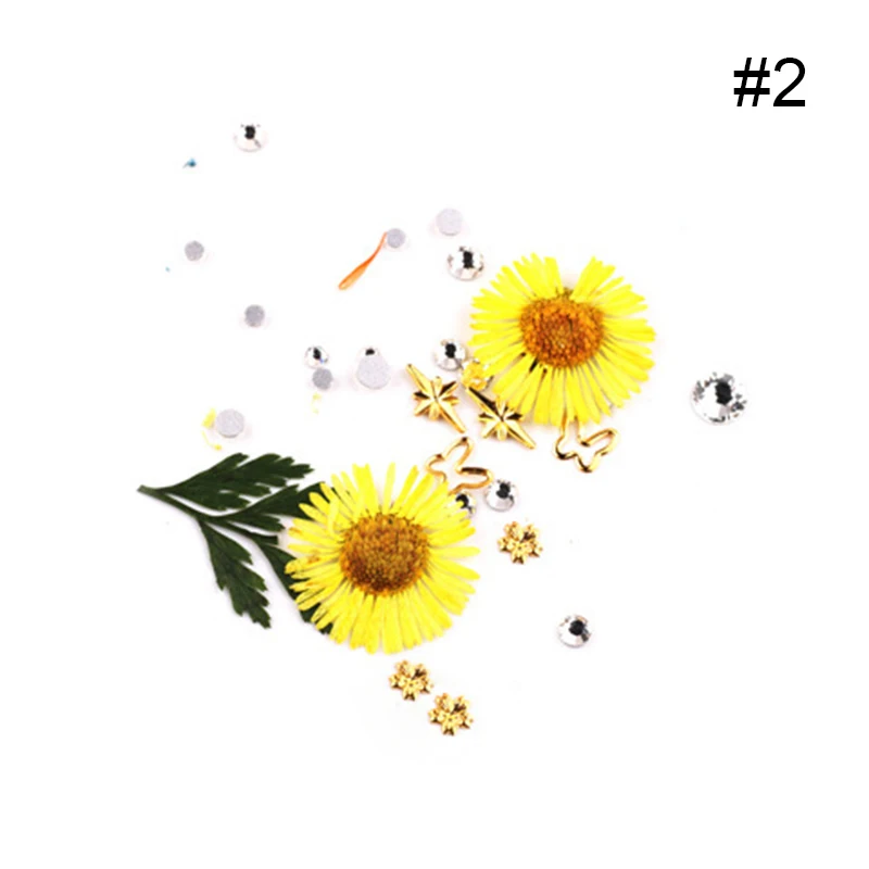 1 Box Dried Daisy Flowers 3D Hydrangea Mixed Nail Drills Art Decoration Beauty for UV Gel Polish Nails Design | Красота и здоровье