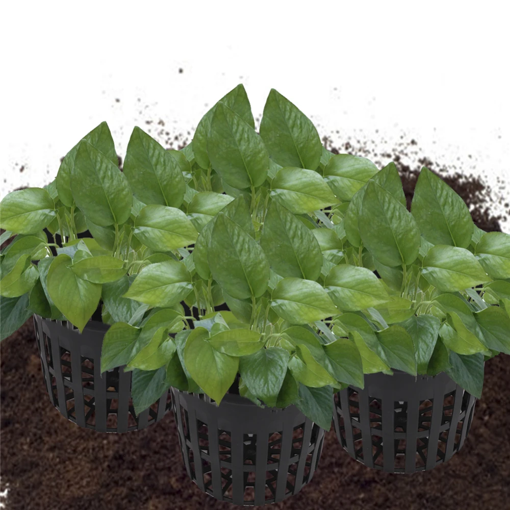 

10 Pcs Vegetable Seedling Basket Plastic Net Cup Soilless Cultivation Mesh Pot