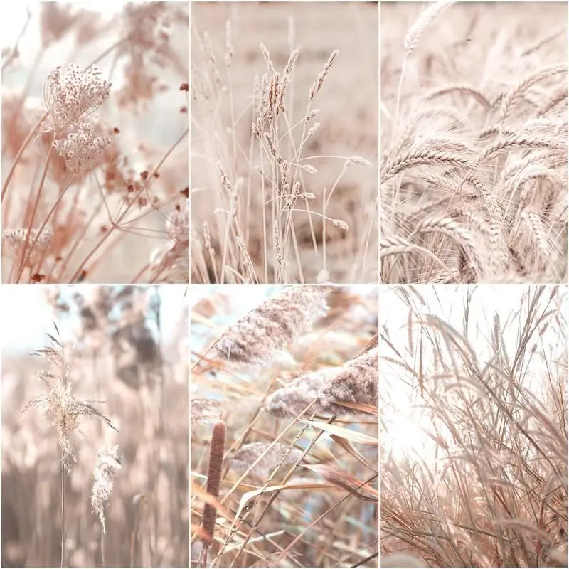 

GATYZTORY DIY Painting By Numbers Landscape Plant Acrylic Paint By Numbers For Adult Wall Art Picture Pink Reed Home Decors