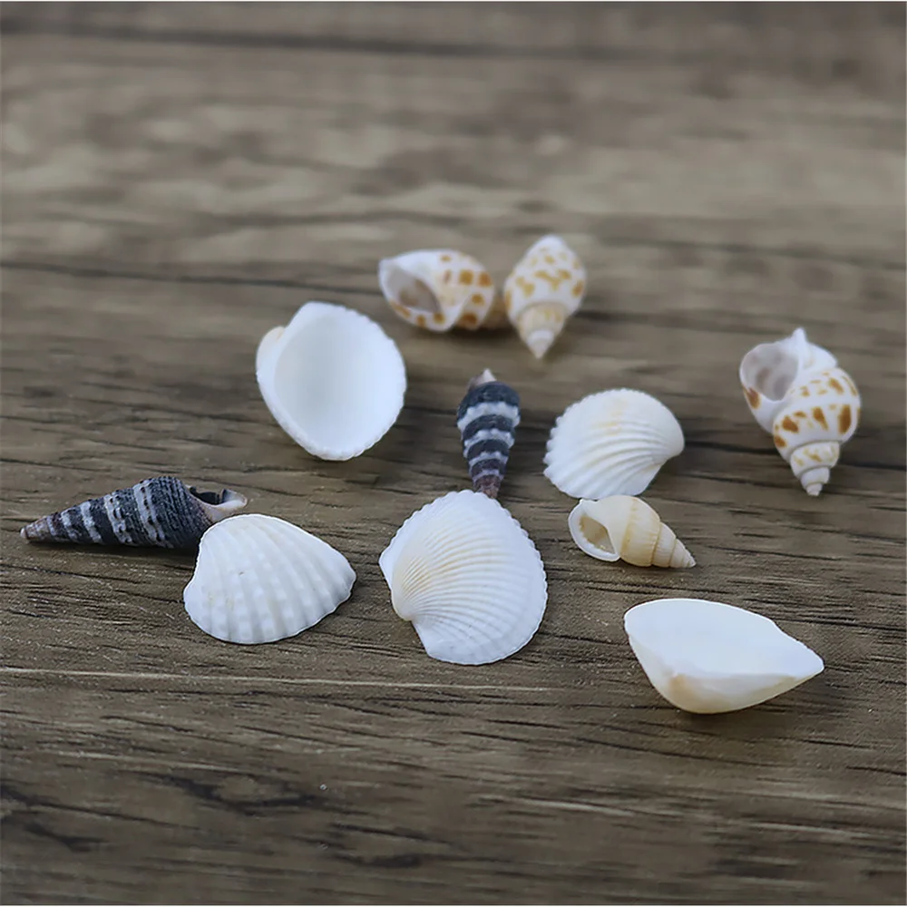 

100g/Bag Mediterranean Sea Shell Conch Material Aquarium Fish Tank Decoration Photography Props Exquisite Natural DIY Scallops