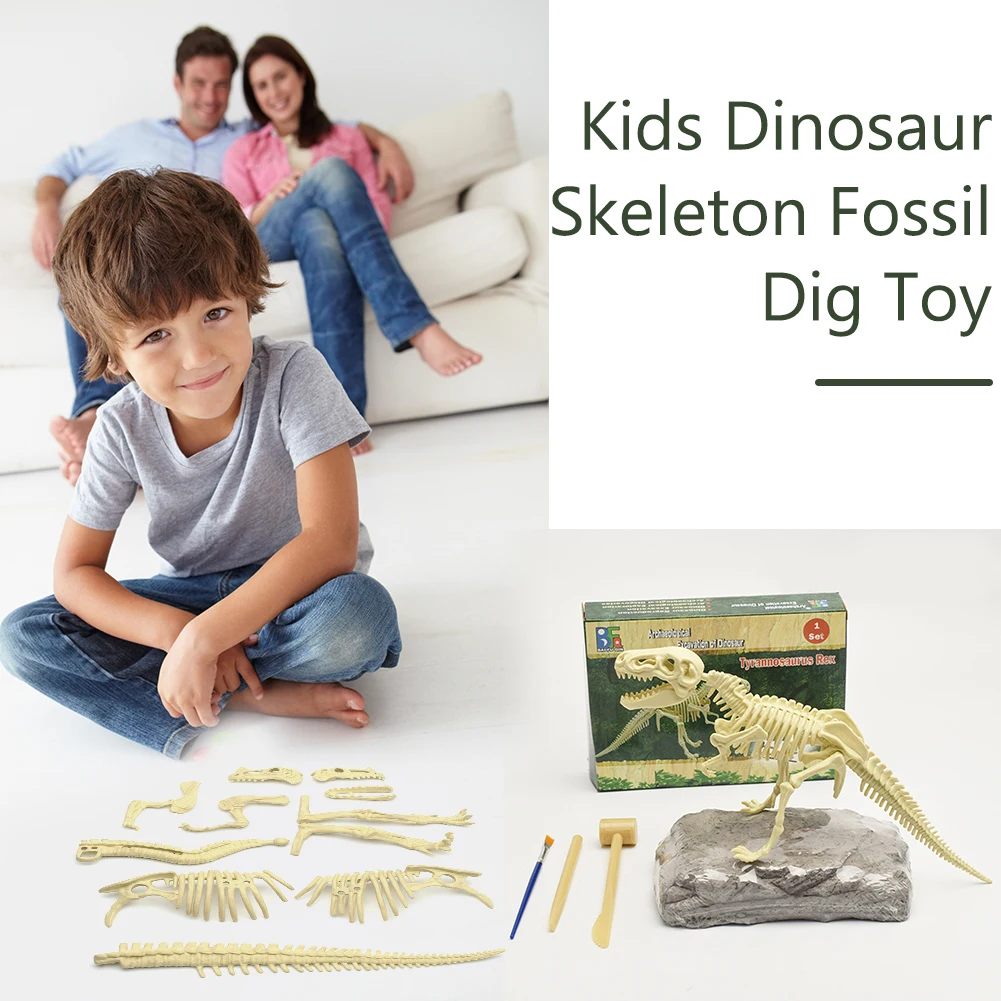 Собираемая модель здания Наборы инструмент ископаемый скелет динозавра DIY