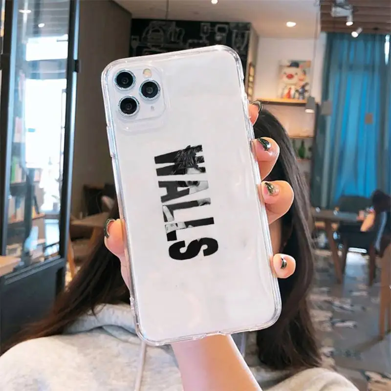 

One Direction Louis butterfly harry Phone Case Transparent for iPhone 6 7 8 11 12 s mini pro X XS XR MAX Plus se cover