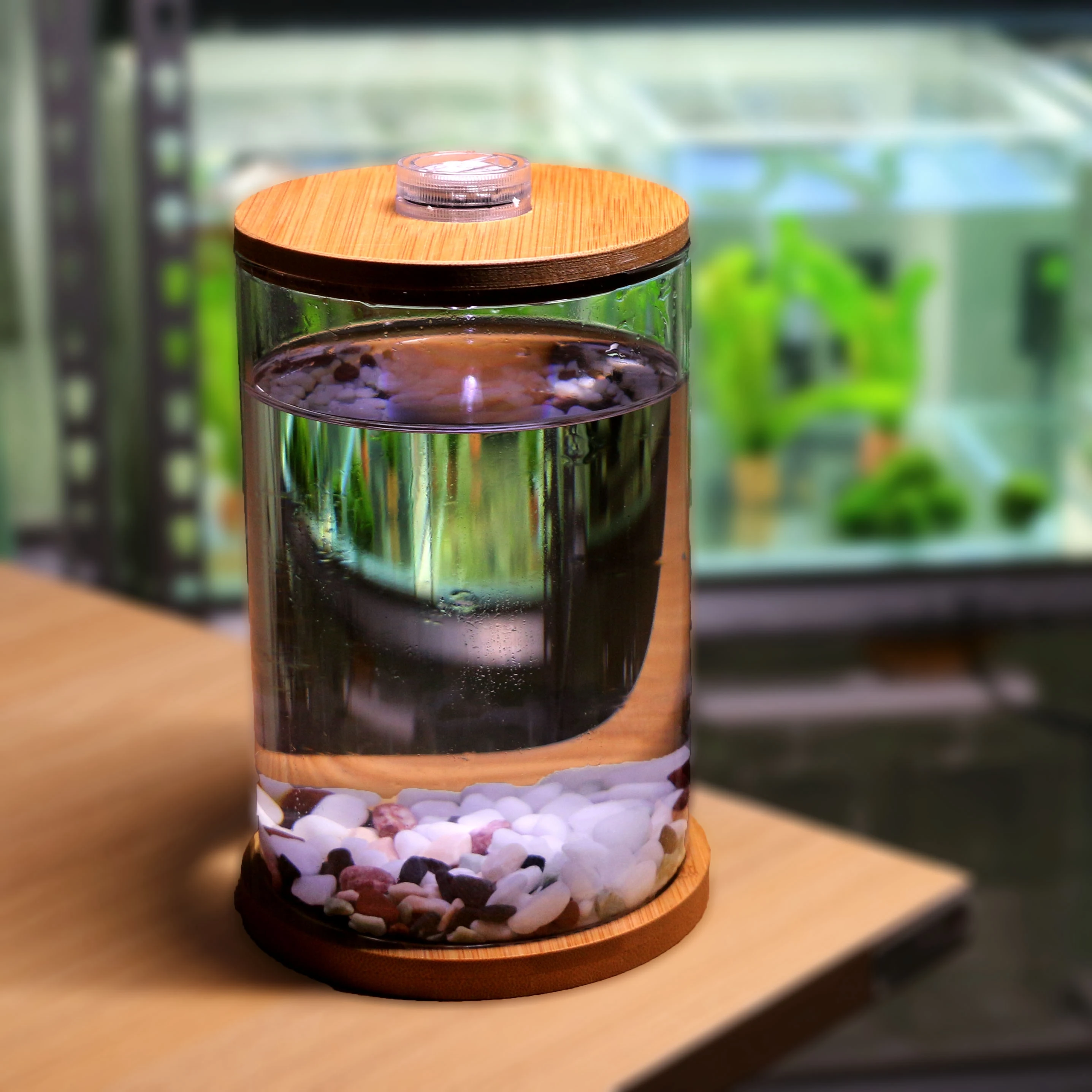 Dou Fish Tank Office Desktop Creative Microview Mini Small Glass Tropical Aquarium Ecological Bottle | Дом и сад