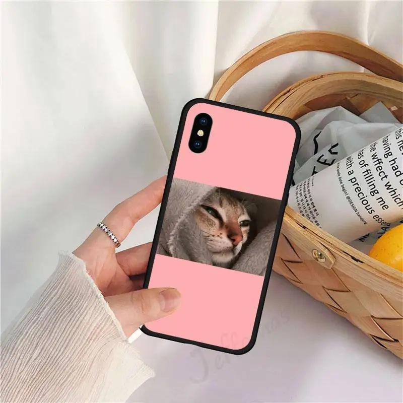 

Lovely animal cat aesthetics pattern Phone Case for iPhone 11 12 mini pro XS MAX 8 7 6 6S Plus X 5S SE 2020 XR