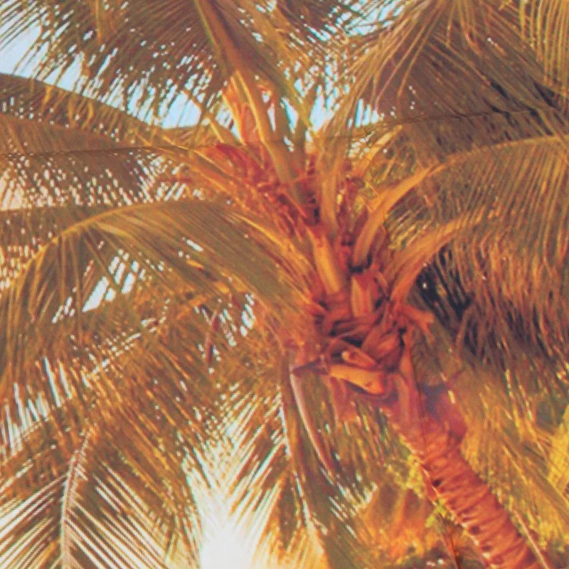 Фоны для фотосъемки виниловые фоны реквизит 5x3FT фото пляж Закат красота |